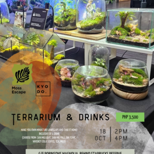 OCT 18: Moss Escape x Kyodo | Terrarium & Drinks: Miniature Landscape Workshop