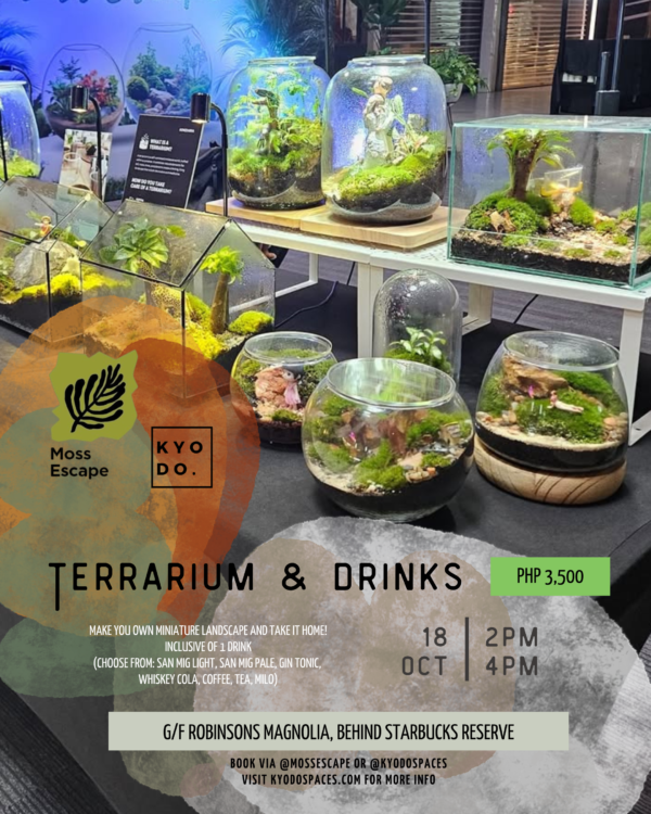 OCT 18: Moss Escape x Kyodo | Terrarium & Drinks: Miniature Landscape Workshop
